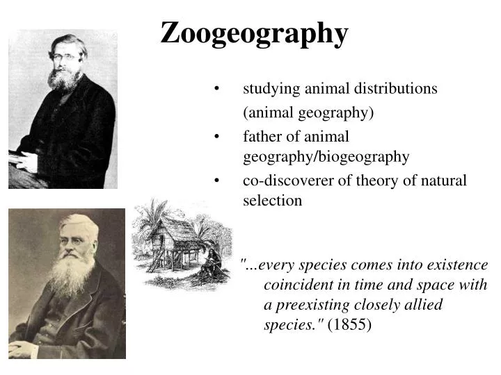 zoogeography n.