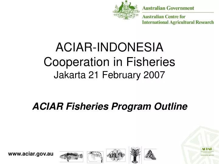 aciar indonesia cooperation in fisheries jakarta 21 february 2007 n.