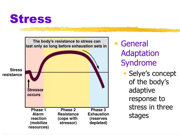 ️ Alarm resistance and exhaustion. What are the stages of stress. 20190224