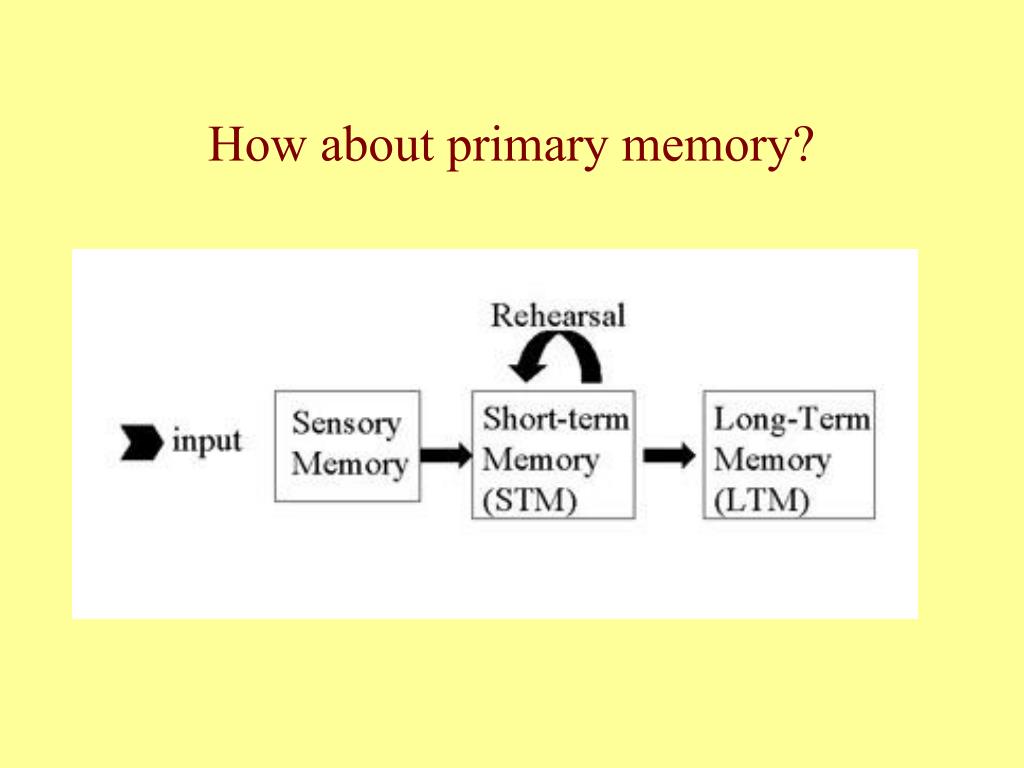 presentation on primary memory