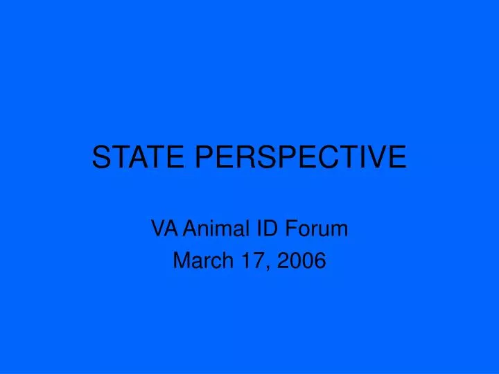 state perspective n.