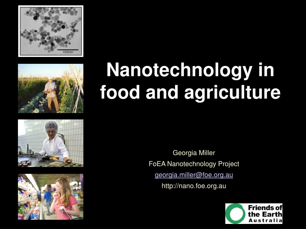 research paper on nanotechnology in food industry