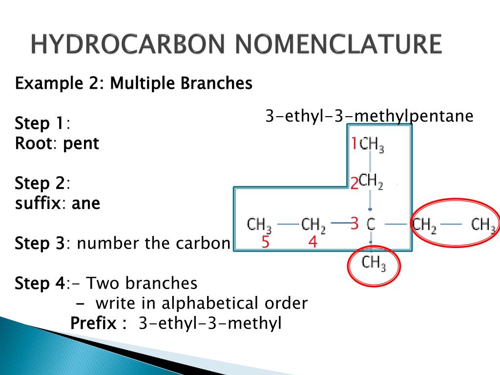 assignment naming hydrocarbons