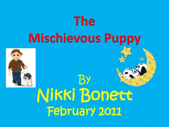 the mischievous puppy n.