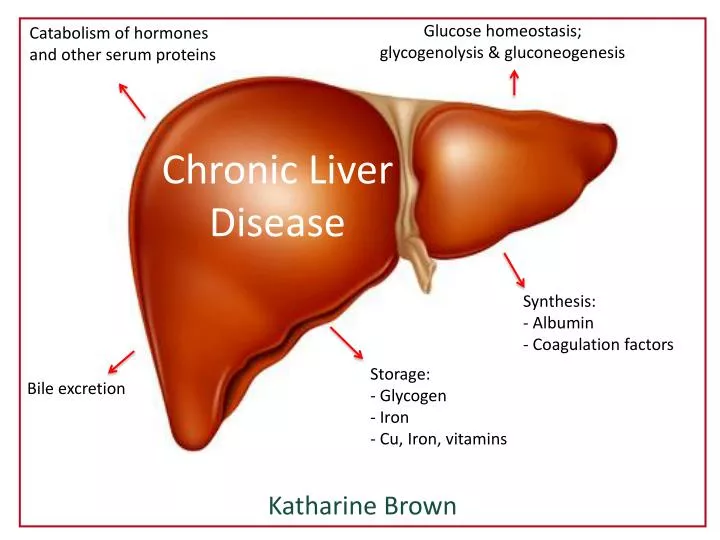 thesis topics on chronic liver disease