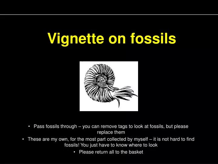 vignette on fossils n.