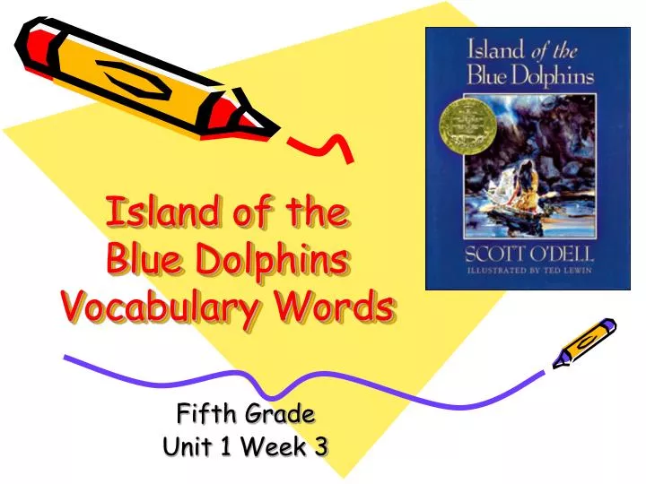 island of the blue dolphins vocabulary words n.