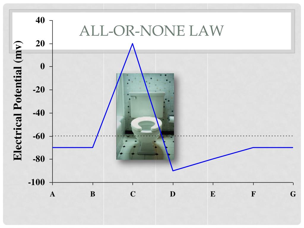 all or none principle definition all or none principle definition