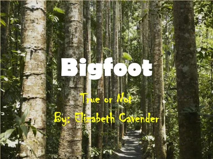 bigfoot n.