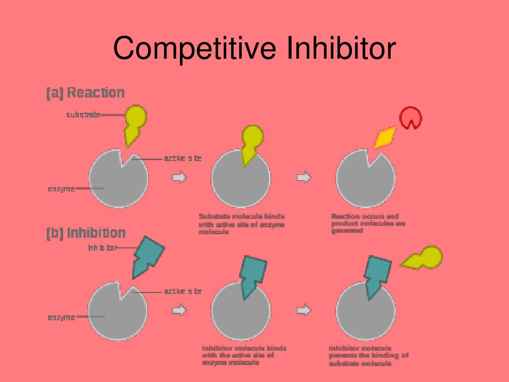 Enzyme Inhibitors