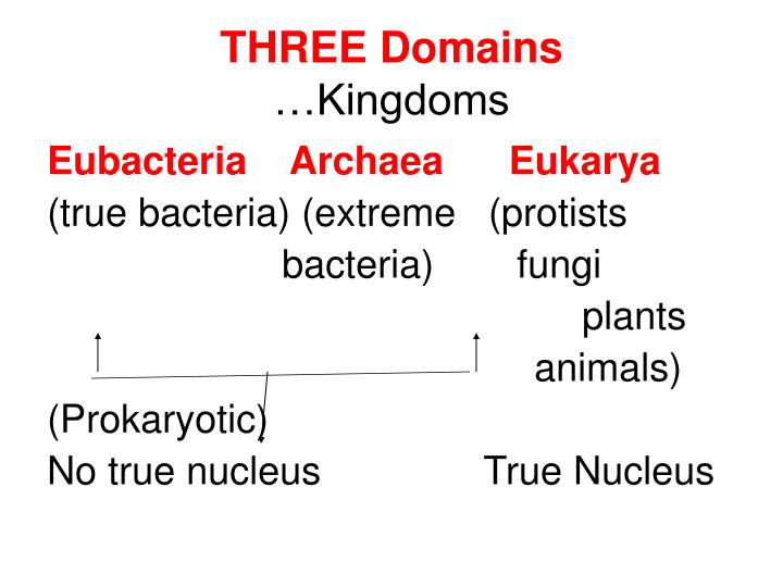 domains and kingdoms