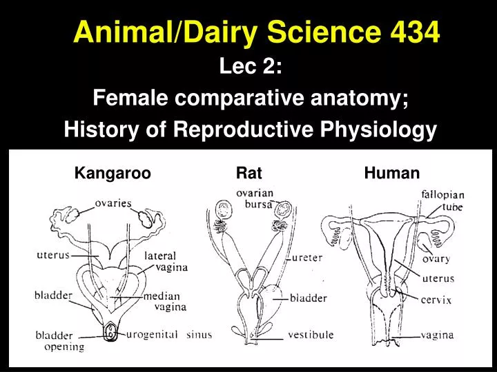 animal dairy science 434 n.
