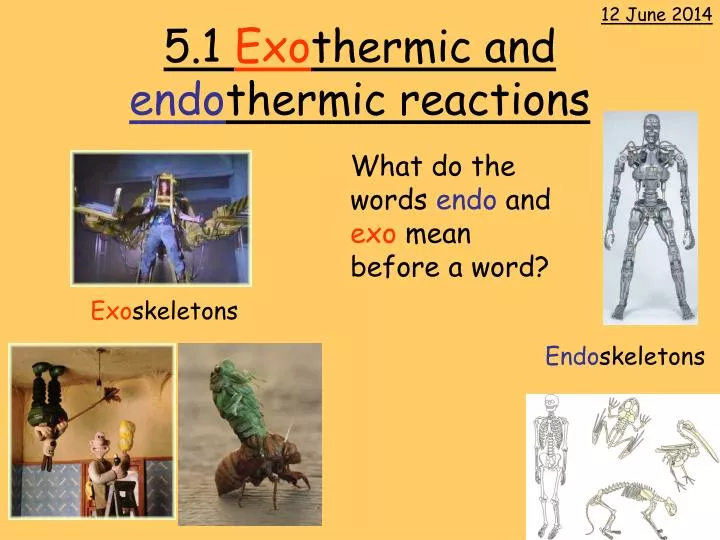 5 1 exo thermic and endo thermic reactions n.