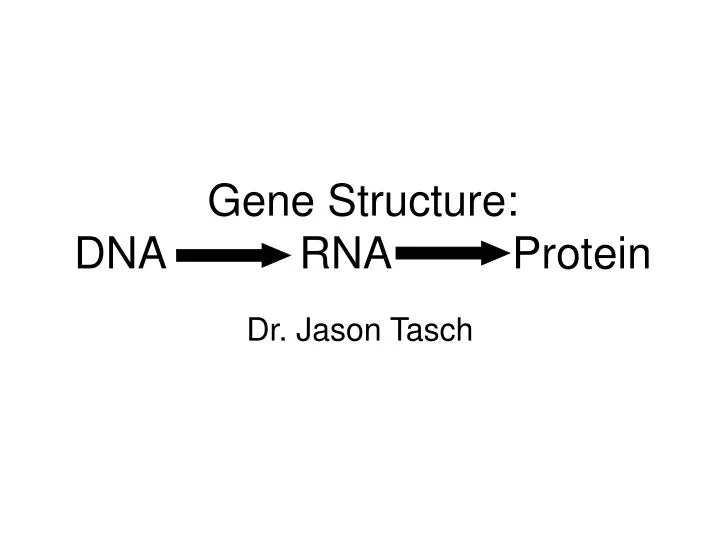 PPT - Gene Structure: DNA RNA Protein PowerPoint Presentation, free ...