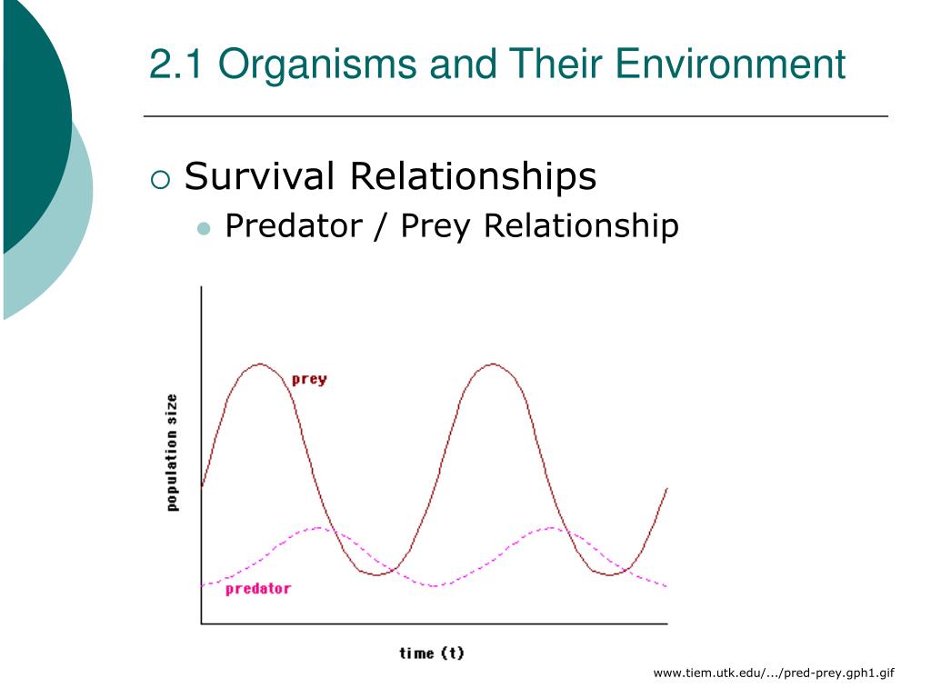 PPT - Biology Chapter 2.1 PowerPoint Presentation, free download - ID