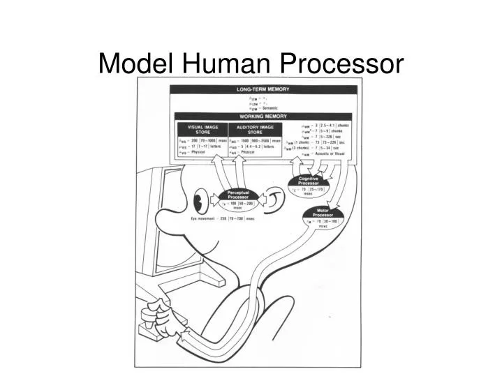 model human processor n.