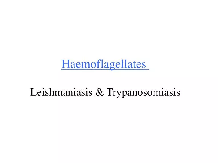 haemoflagellates leishmaniasis trypanosomiasis n.