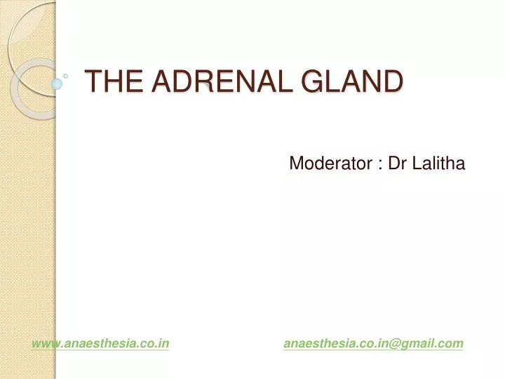 the adrenal gland n.