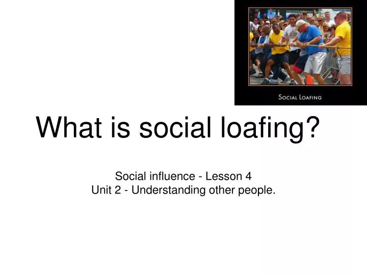 PPT - What is social loafing? PowerPoint Presentation, free ...