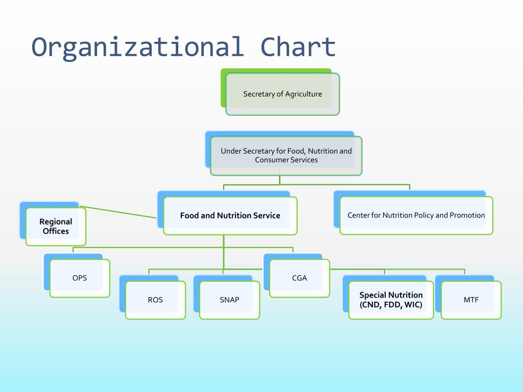 Food And Nutrition Service Organizational Chart