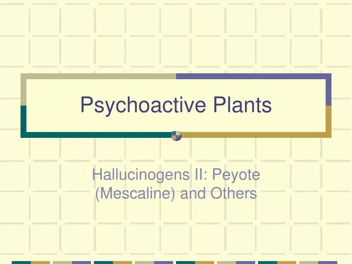 psychoactive plants n.