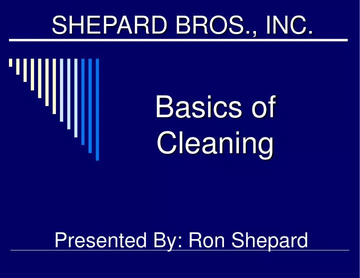 basics of cleaning n.