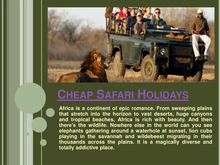 cheap safari holidays n.