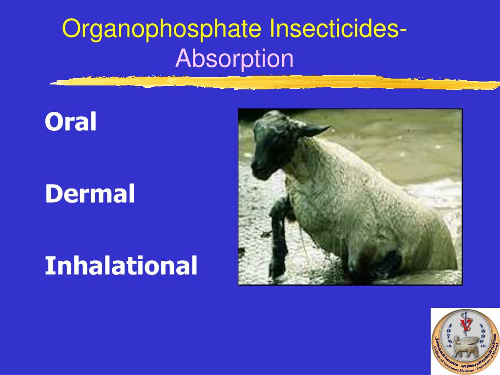 organophosphate antidote organophosphate antidote