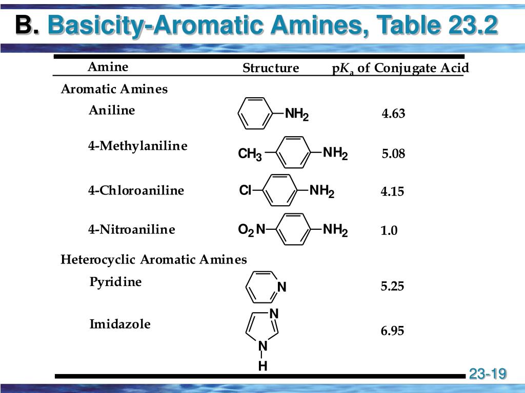 PPT Amines PowerPoint Presentation Free Download ID 149830 PPT Amines PowerPoint Presentation Free Download ID 149830