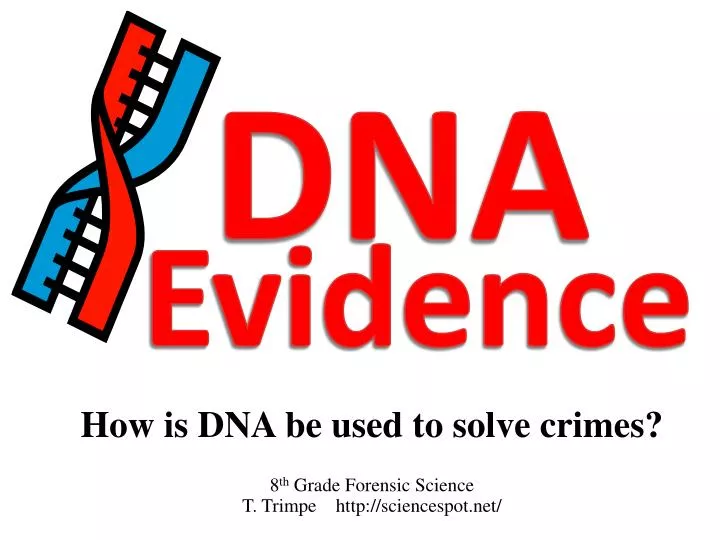 how is dna be used to solve crimes 8 th grade forensic science t trimpe http sciencespot net n.