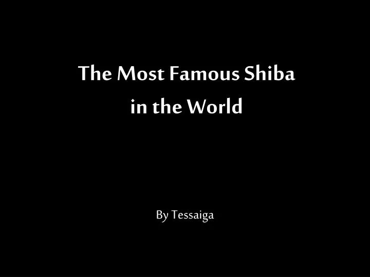 the most famous shiba in the world n.