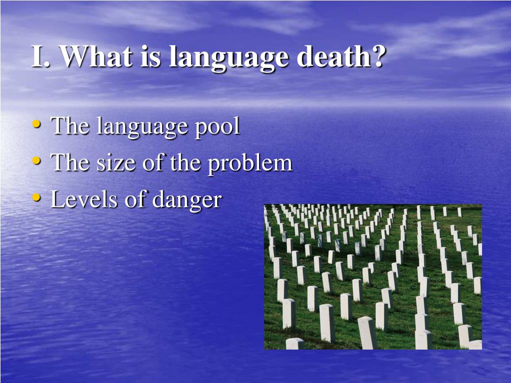 an essay on language death