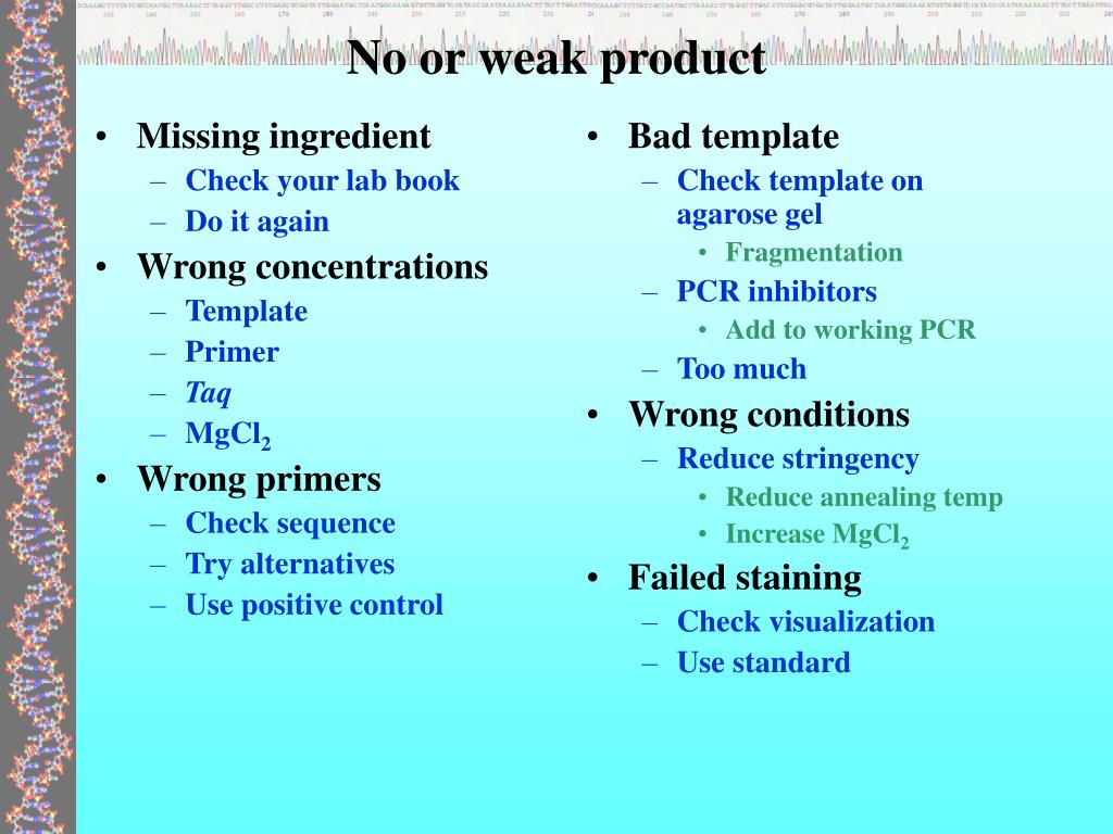 how-much-template-dna-for-pcr