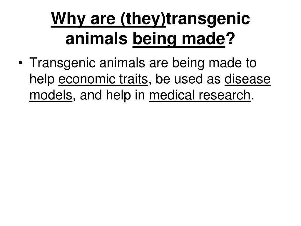 PPT - Transgenic Animals PowerPoint Presentation, free download - ID:153393