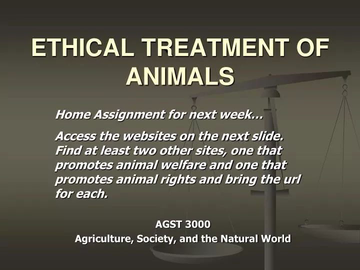 PPT - ETHICAL TREATMENT OF ANIMALS PowerPoint Presentation, free download - ID:153437 PPT - ETHICAL TREATMENT OF ANIMALS PowerPoint Presentation, free download - ID:153437