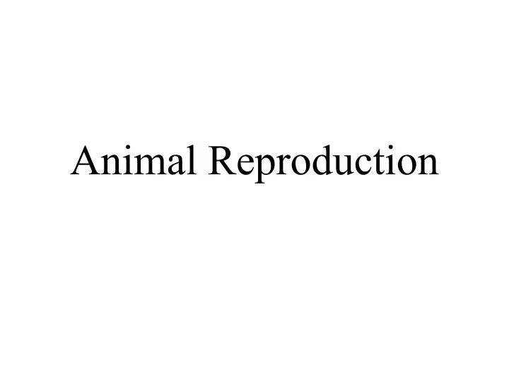 PPT - Animal Reproduction PowerPoint Presentation, free download - ID ...