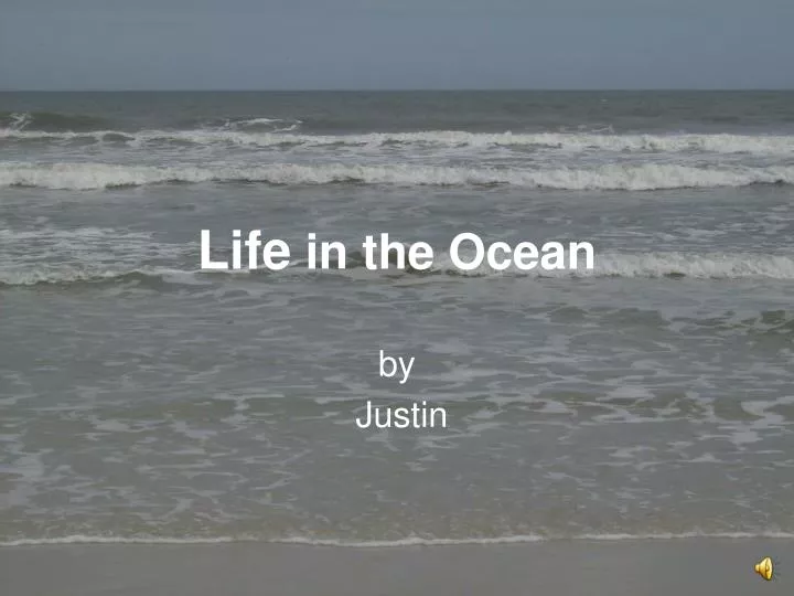 life in the ocean n.