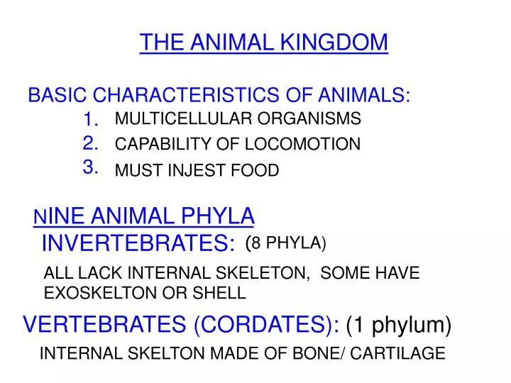 PPT - THE ANIMAL KINGDOM BASIC CHARACTERISTICS OF ANIMALS: 1. 2. 3. N I PowerPoint Presentation - ID:154819 PPT - THE ANIMAL KINGDOM BASIC CHARACTERISTICS OF ANIMALS: 1. 2. 3. N I PowerPoint Presentation - ID:154819