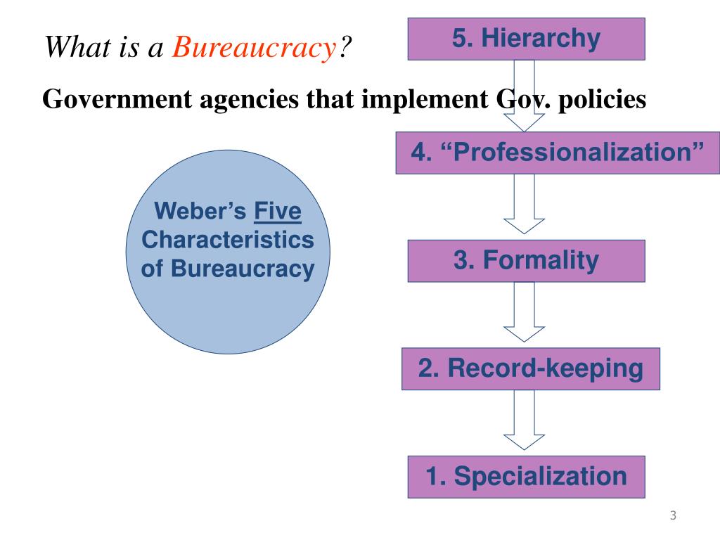 characteristics of bureaucracy pdf