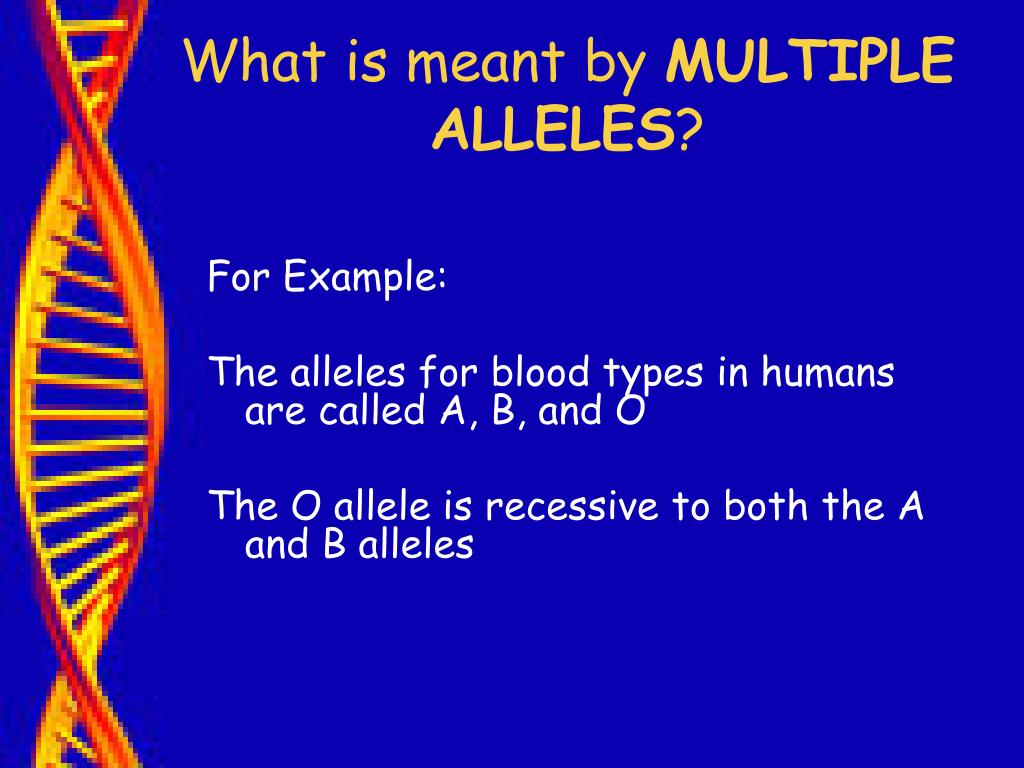 ppt-genetics-heredity-powerpoint-presentation-free-download-id-15641