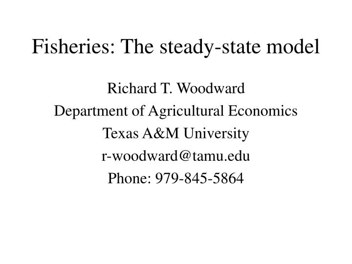 fisheries the steady state model n.