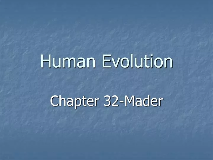 human evolution n.
