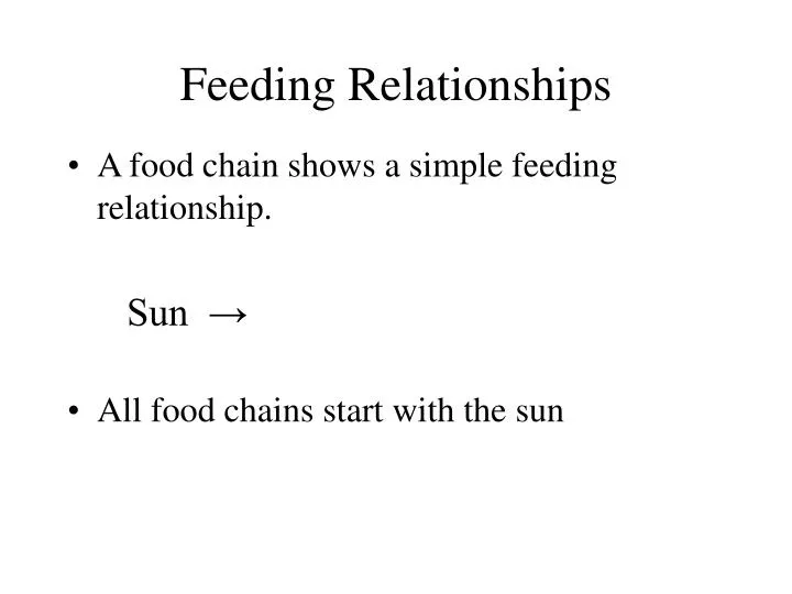 feeding relationships n.