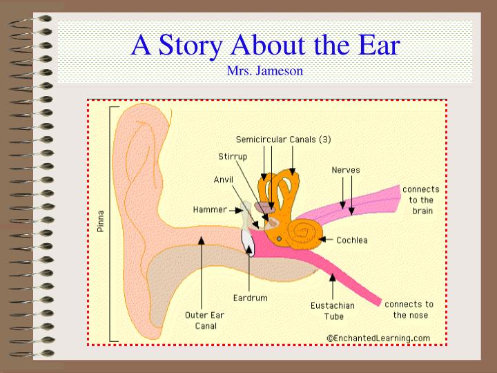 a story about the ear mrs jameson n.