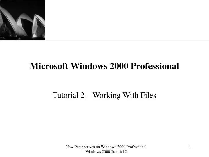 microsoft windows 2000 professional n.