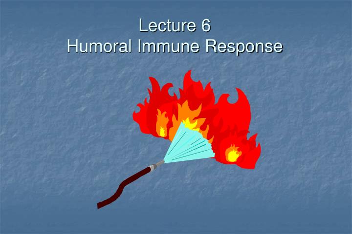 lecture 6 humoral immune response n.