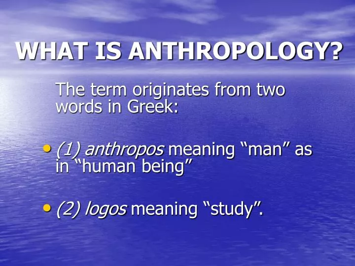 what is anthropology n.