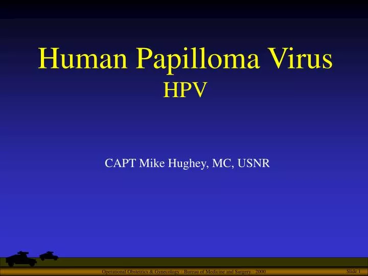 human papilloma viruses ppt