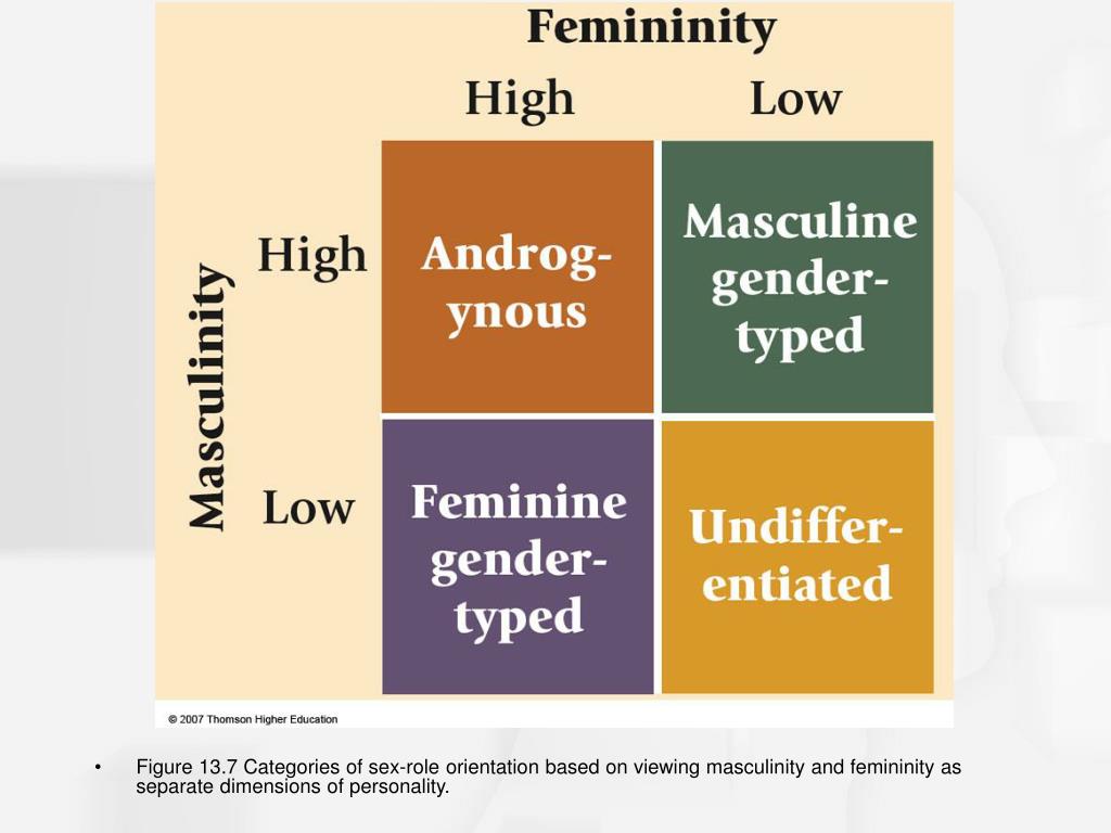 Ppt Chapter 13 Sex Differences And Gender Role Development Powerpoint