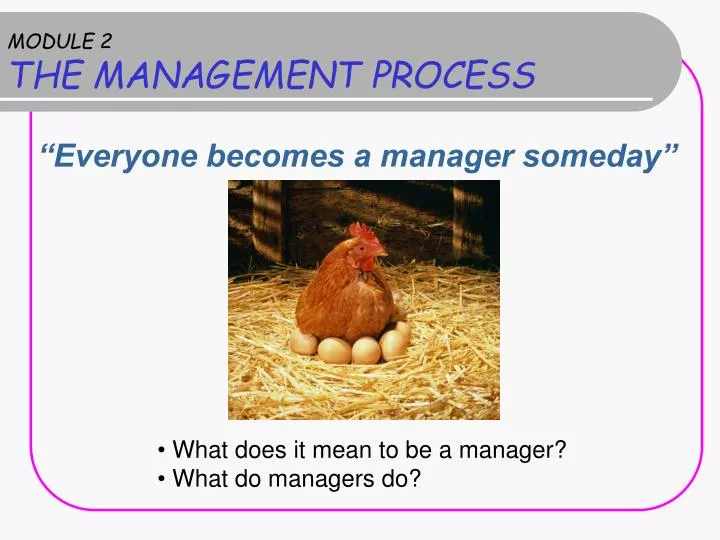 module 2 the management process n.